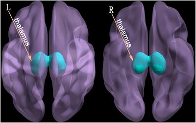 Investigating the mechanism and prognosis of patients with disorders of consciousness on the basis of brain networks between the thalamus and whole-brain